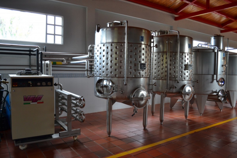 cave-TOURRETTES-min_wine_production_cantine_winery_drink_alcohol_vine_beverage-902036